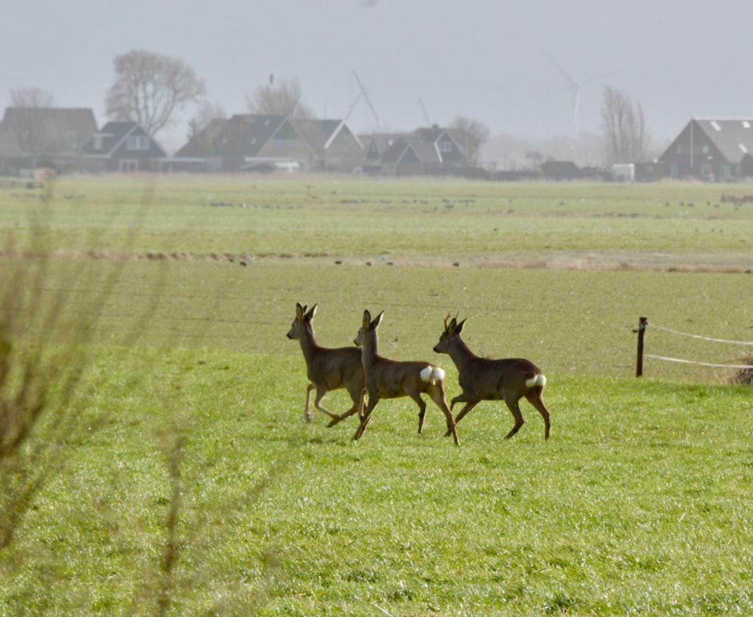 Gaast Het Melkhuis Op Prachtig Landgoed Koepeltjesplaats מראה חיצוני תמונה